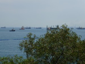 P1010324